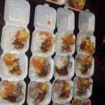 Gold Fish Project (11)