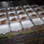 Gold Fish Project (20)